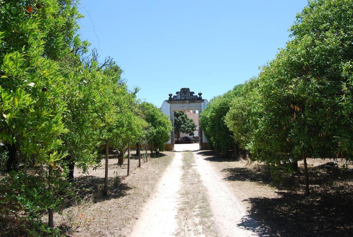 Villa Quinta Do Casalinho - Benfica Do Ribatejo Exterior foto